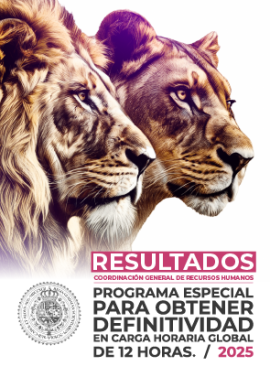 Imagen resultados Programa Especial para Obtener la Definitividad en Carga Horaria Global de 12 Horas 2025