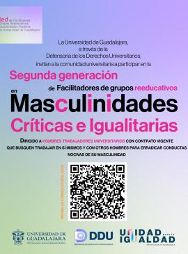 Facilitadores de grupos reeducativos en Masculinidades Críticas e Igualitarias